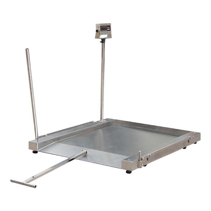 304不銹鋼可移動(dòng)平臺(tái)秤